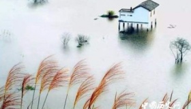 诗经里的诗到底是怎么来的