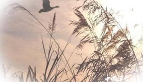 盘点十月古诗词名句，描写十月的古诗词有哪些？