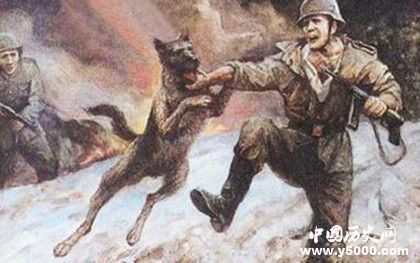 日本战争时期训练的攻击动物是什么_日本训练了什么动物来撕咬中国人_中国历史网