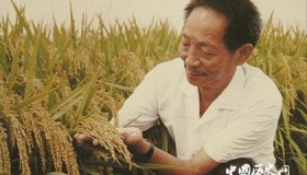 来说说两则袁隆平早年励志故事