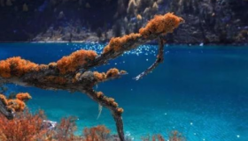 十一国庆假期去这几个地方，人少景好还花费少！