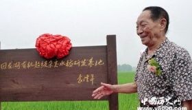 袁隆平的两个梦想：愿天下人都有饱饭吃 杂交水稻造福世界