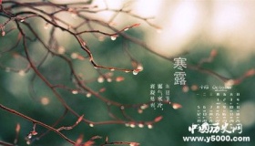 寒露：盘点关于寒露节气的八首古诗词！