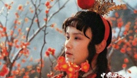 红楼梦的版本主要有哪些，他们又有什么区别呢？