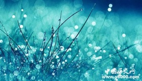 寒露：关于寒露的一些俗语或谚语！