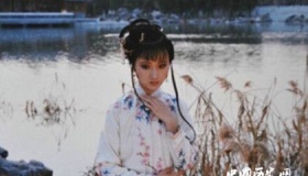 盘点红楼梦中林黛玉的16首诗词！