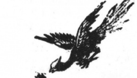 “饮鸩止渴”里的鸩鸟灭绝原因原来与司马家有关