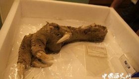 地球上最“神秘”的6个考古发现