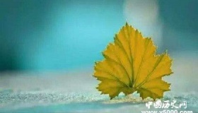 木心经典语录赏析，木心经典语录大全