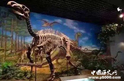 世界上最大的恐龙泰坦巨龙：恐龙中的巨无霸