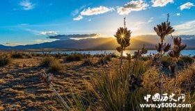 最美的情话合集：甜到智齿疼，糖尿病犯