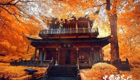 中国四大名寺分别是什么，都在哪里