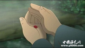 古代为什么把红豆叫做相思豆