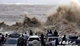 台风来了我们该怎么做