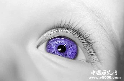伊丽莎白泰勒的眼睛_紫色眼睛的人_为什么会有紫色眼睛