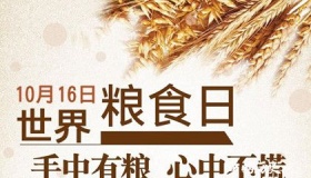 2019年世界粮食日和主题介绍