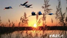 刘彻《秋风辞》原文与译文