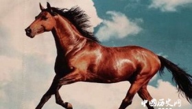 汉武帝远征西域大宛