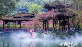 《桃花源记》表达了作者什么样的思想感情