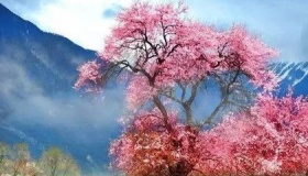 《桃花源记》原文及其创作背景的介绍