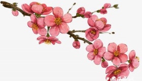 关于梅花的诗词大全