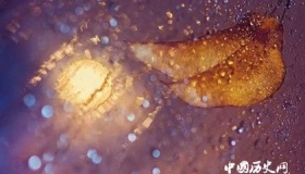 《丑奴儿·书博山道中壁》：却道天凉好个秋