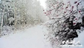 欧阳修《戏答元珍》原文及译文