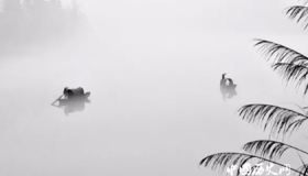 文人对元好问的人物评价