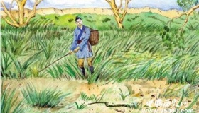 打草惊蛇的历史典故