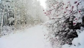 欧阳修《戏答元珍》原文及译文赏析