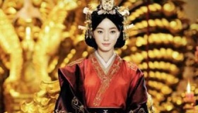 卫子夫的生平事迹