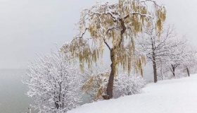 纳兰性德《临江仙·寒柳》赏析