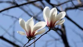 《论诗三十首》其四