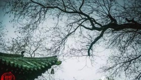 《过晋阳故城书事》诗词赏析