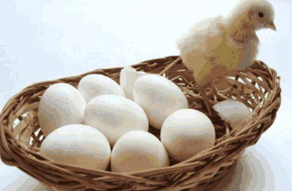 先有鸡还是先有蛋_先有鸡还是先有蛋的最佳答案_中国历史网