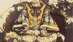 辛酉政变成功的原因