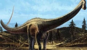揭秘史上最大的恐龙