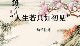 “人生若只如初见”这首诗的用意