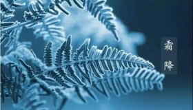 霜降的气候特点