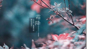 霜降节气有什么风俗