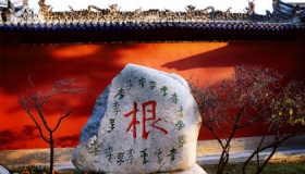 在历史长河中发挥了巨大作用的十大名门望族