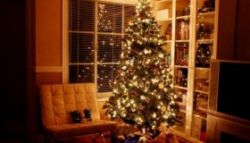 圣诞树的历史由来