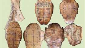 甲骨文：最早成熟的文字