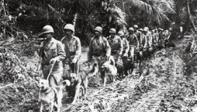 苏德战争苏联取得胜利的原因