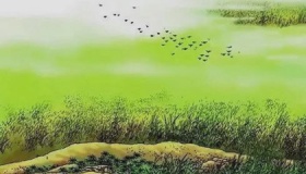 《赋得古原草送别》原文译文赏析