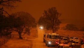 森林火灾的七大危害