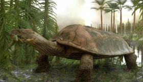 十大恐怖灭绝动物排名盘点