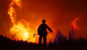 森林火灾的成因 如何预防森林火灾