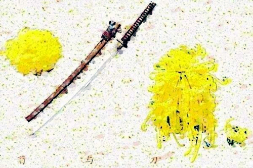 菊花和武士刀在日本文化里的含义,菊与刀文化背景解析