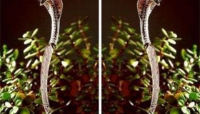 揭秘世界上最诡异的十把刀剑